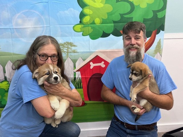 Dogs enjoying daycare